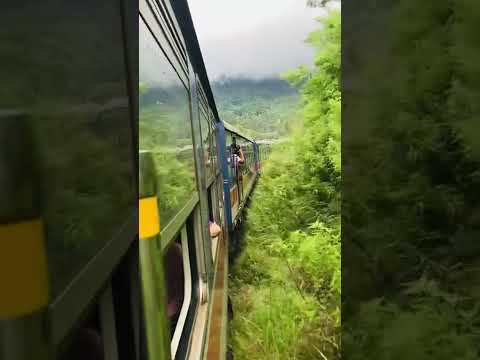 Badulla train | Visit Sri Lanka &#127473;&#127472;❤️ | see beauty #shorts #ytshorts