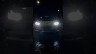 The End of the OFFICIAL HOLIDAY UPDATE Tesla Light Show