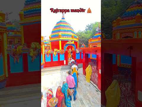 Rajrappa mandir 🛕 आज का दर्शन 🙏🙏#rajrappadhamvlog