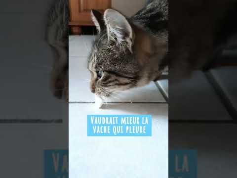Petitou doit prendre son médicament