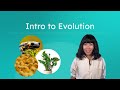 Evolutionary Concepts and Adaptations