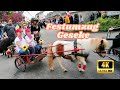 Gsselkirmes Geseke Frhlingsumzug Festumzug Parade Mai 2025