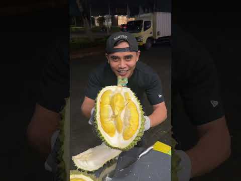 DURIAN 5 JUTA #durian #durianbawor #masduren