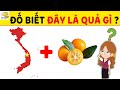 Câu Đố Thú Vị Về Động Vật