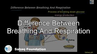 Difference Between Breathing And Respiration