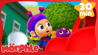 Catch that Critter! EPIC Animal Chase! | 30 Minutes of Morphle Magic Pet Cartoons for Kids