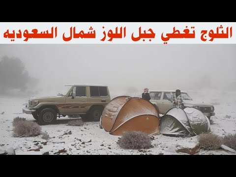 الثلوج تغطي جبل اللوز شمال السعوديه Snow fall Saudi Arabia 🌧️