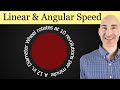 Linear and Angular Speed Concepts