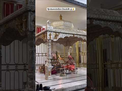 ಶ್ರೀ ಮೂಲ ರಾಮದೇವರ ಪೂಜೆ|15/12/2025|#guru_sri_ragavendra #shortvideo #shortsviral #shorts #viral #video