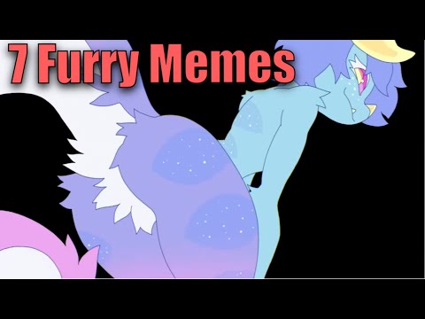 7 Amazing Furry Animation Memes