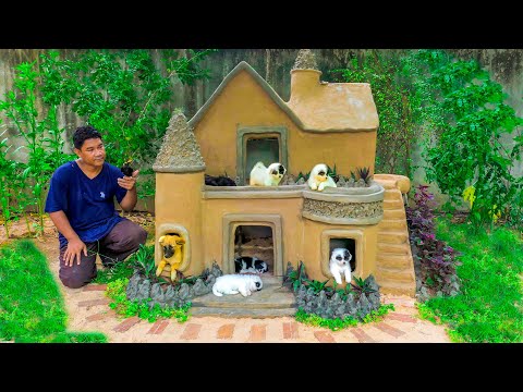 Build Mud Dog's House For Abandoned Cute Puppies