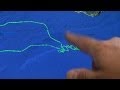 Gray Seals: Telemetry and Behavior