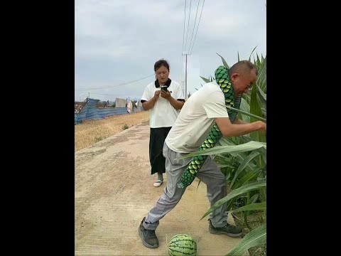 逗逗老婆看看她的反应⋯AI抖音 #赵哥杜姐吖