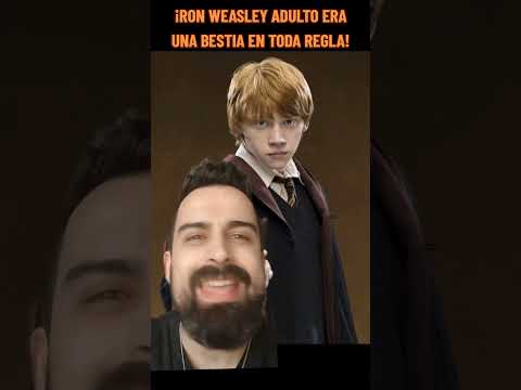 ¿QUE HIZO RON WEASLEY DESPUÉS DE HOGWARTS?