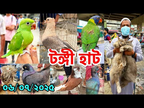 ছুটির দিনে জমেছে হাট | টিয়া, ময়না, শালিক, কোকিল, কালিম উঠেছে হাটে | টঙ্গী হাট | Tongi Pet Market#805