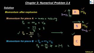 Class 11th | Punjab Board (2025-26) | Chapter 2 | Numerical Problem: 2.4