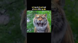 देखे एक माँ अपने बच्चे के लिए क्या कर सकती है #shorts #moviereview
