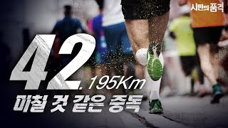 [시민의 품격 6화] 끝나지 않은 마라톤의 열기! 세계 최고 상금이 걸린 2024 대구 마라톤! 다시보기