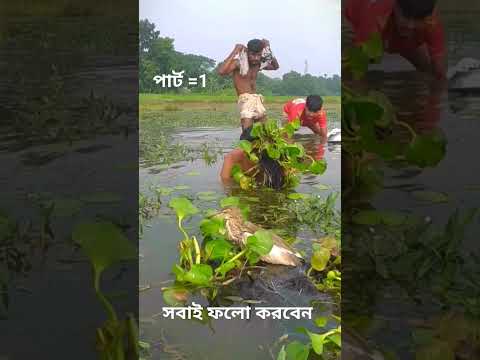 বক ধ'রা'র অভিনব প'দ্ধ'তি #funny #comedy