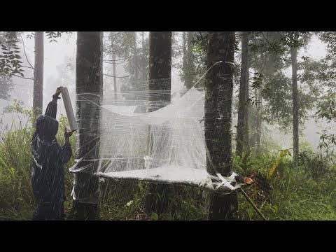 BUILD TRANSPARENT SHELTER USING PLASTIC WRAP - CAMPING HEAVY RAIN