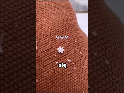 RZADKI PŁATEK ŚNIEGU! ❄️🌨️☃️