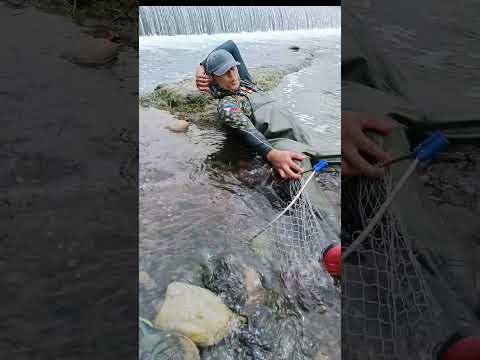 Yung Relax Kalang sa Paghuli #fishingtechniques #cambodia #amazing