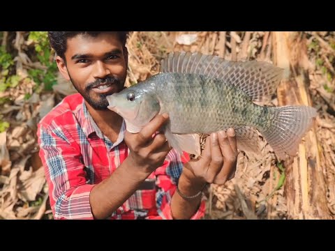 snake rescuer सांप पकड़ने वाले को मछली पकड़ते हुए देखिए।🦈Look at the snake rescuer. Go to fishing.🦈