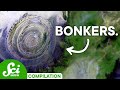 Exploring Earth's Weirdest Places