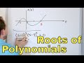 Understanding Polynomial Equations and Their Properties