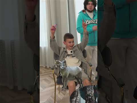 СКОЛЬКО ТЫ СМОГ ОТГАДАТЬ?🙄🤯