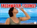 Impact of Desalination on Ecosystems