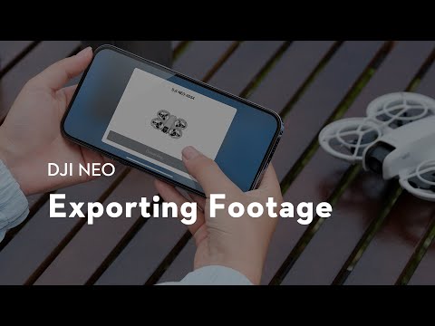 DJI Neo｜Exporting Footage