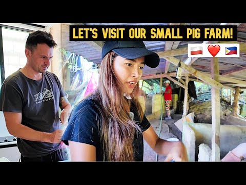 Let's Visit Our Small Pig Farm