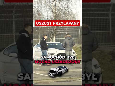 "Bezwypadkowy" Mustang #hi_5