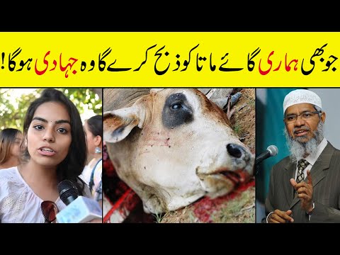 Bakra Eid 2024 - Angry Hindu Girl Vs Dr. Zakir Naik | Peace Tv | @alrazzaqtv