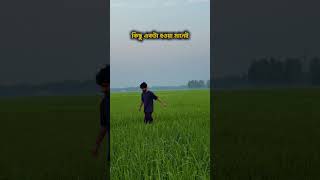 জীবনটা আসলে খুব সাধারণ,তবুও আমরা এটাকে কঠিন করে ফেলি  #panthashahria