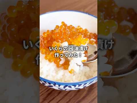 イクラは高いので筋子でイクラの醤油漬け作ってみた　#shortsvideo #ライフハック #lifehack #すじ子#いくら#筋子からいくら