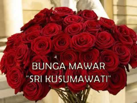 BUNGA MAWAR - NOVIA KOLOPAKING ( SRI KUSUMAWATI COVER).