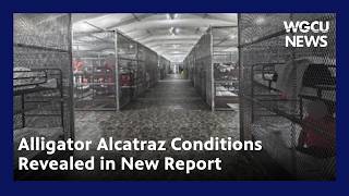 Alligator Alcatraz Conditions