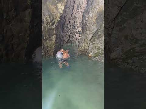 #nature #wildlife #adventure #shorts #breathtakingmoments