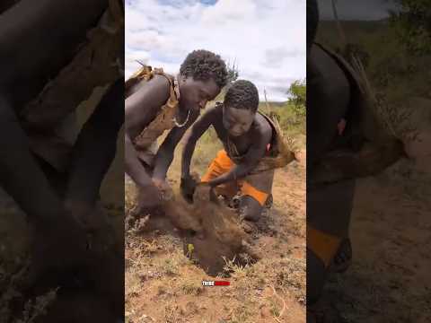 आदिवासी लोग इतने गहरे गड्ढे क्यों खोदते हैं | #shorts #TribalToilets #junglelife #triballife #facts