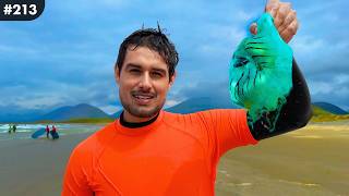 The Alien Jellyfish of Ireland 🇮🇪