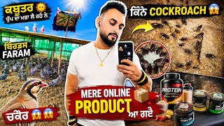 ਮੈਂ ਆਪਣੀ ਜ਼ਿੰਦਗੀ ਵਿੱਚ ਇਨੇ ਜਿਆਦਾ ਕੋਕਰੇਚ🪳 ਨੀ ਦੇਖੇ ਡਰ ਲੱਗਦਾ ਦੇਖ ਕੇ ਹੀ || New Bird's Faram Moga 