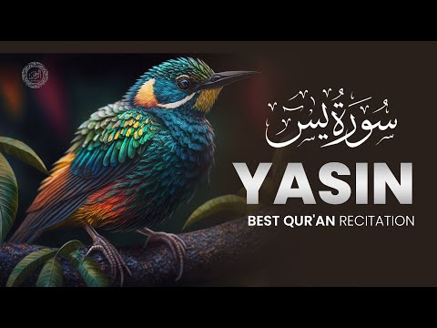 Surah Yasin Full | Heart-Melting Quran Recitation (سورة يس)