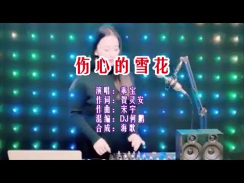 乖寶《傷心的雪花（DJ何鵬版）》  KTV 導唱字幕 （備有伴奏視頻）