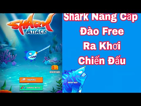 Shark Nâng Cấp Đào Free Ra Khơi Chiến Đấu / Tâm Nguyễn Official