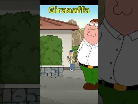 #545 #shortsitalia #igriffinita #griffin #viral