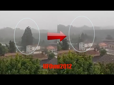 Un arbre détruit par la foudre à Augé en France, 29 juin 2024