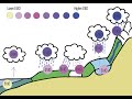 Oxygen Isotope Fractionation Concepts