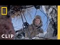 Wilderness Trapping Techniques and Safety